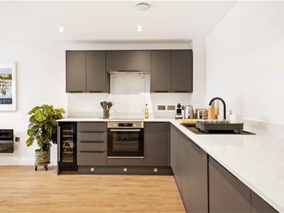 Picture 12
